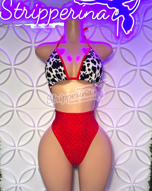 Cruella High Waisted Set (Large)